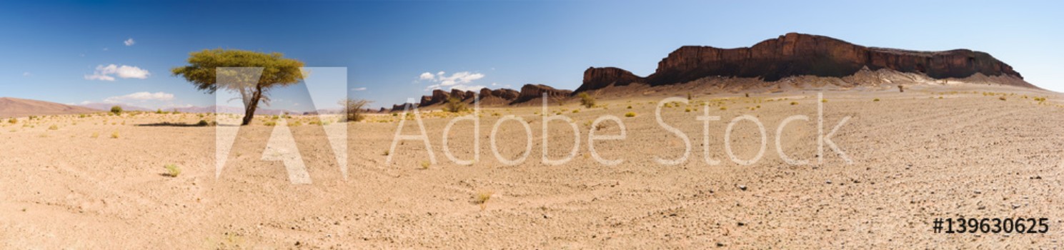 Picture of Panorama of a tree and mountains Sahara Morocco